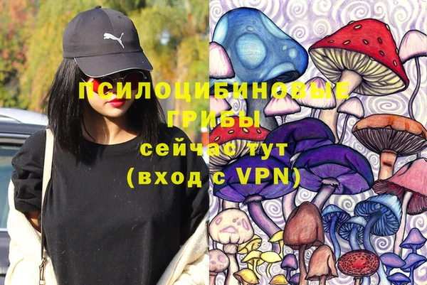 экстази Богданович