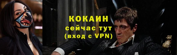 mix Богородицк