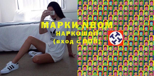гашик Богородск