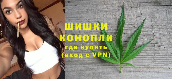 mix Богородицк