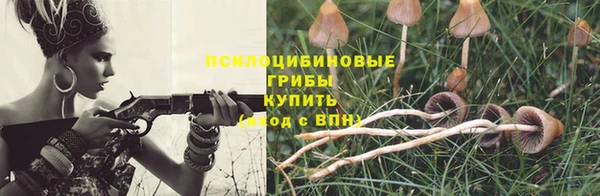 mix Богородицк