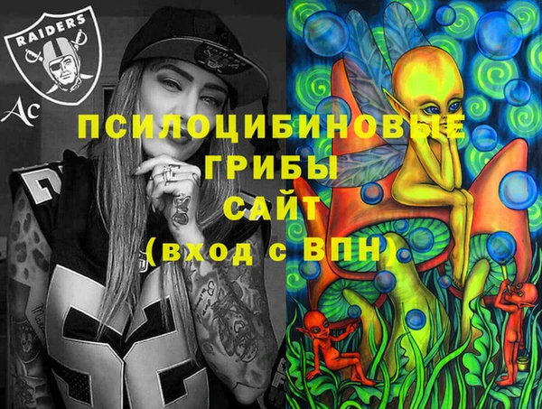 mix Богородицк