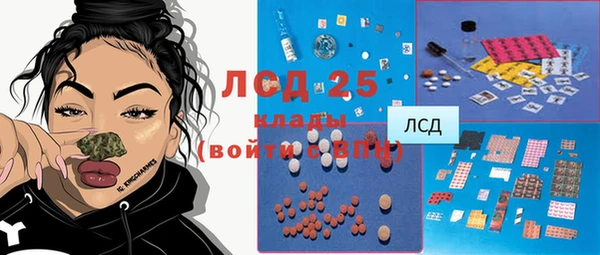 гашик Богородск