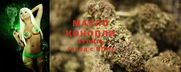 mix Богородицк