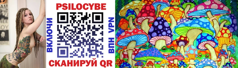Псилоцибиновые грибы мицелий  Купить закладки  Снежногорск 