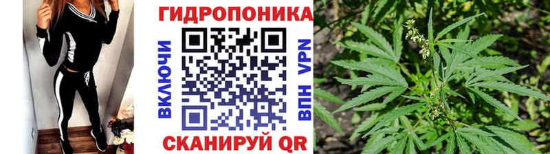 Купить закладки  Снежногорск  Конопля AK-47 